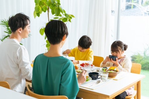 1日で摂取する栄養素のバランスを考える